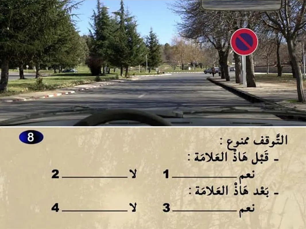 السلسلة 11 — السؤال 8