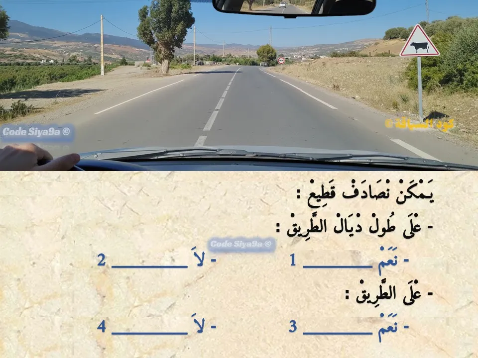 السلسلة 116 — السؤال 16
