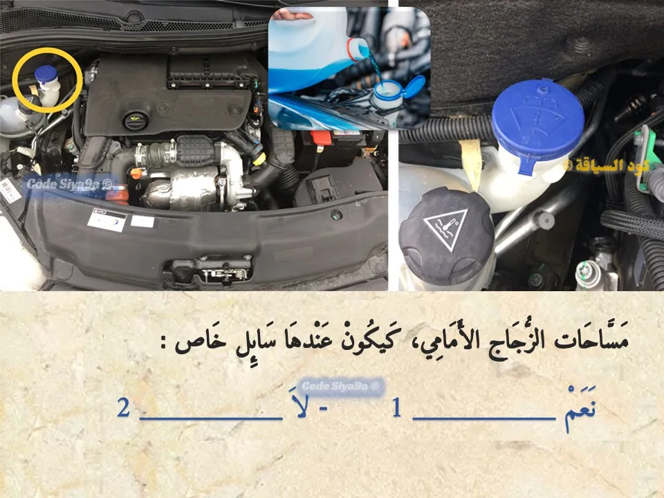 السلسلة 120 — السؤال 31