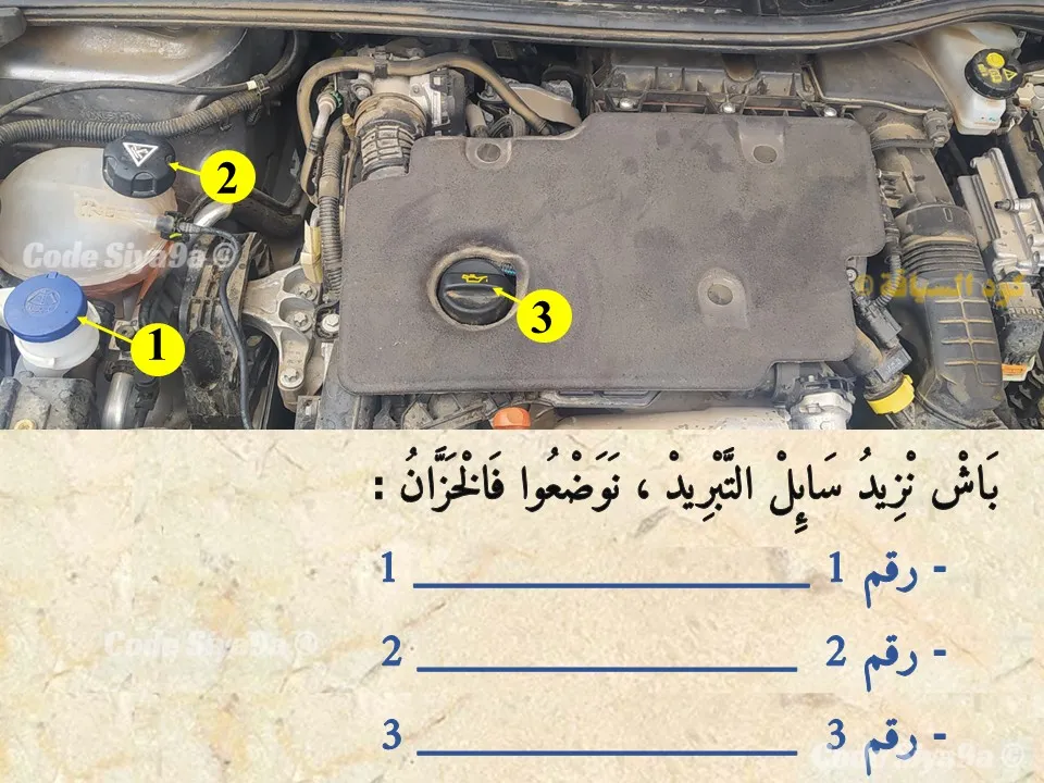 السلسلة 130 — السؤال 16