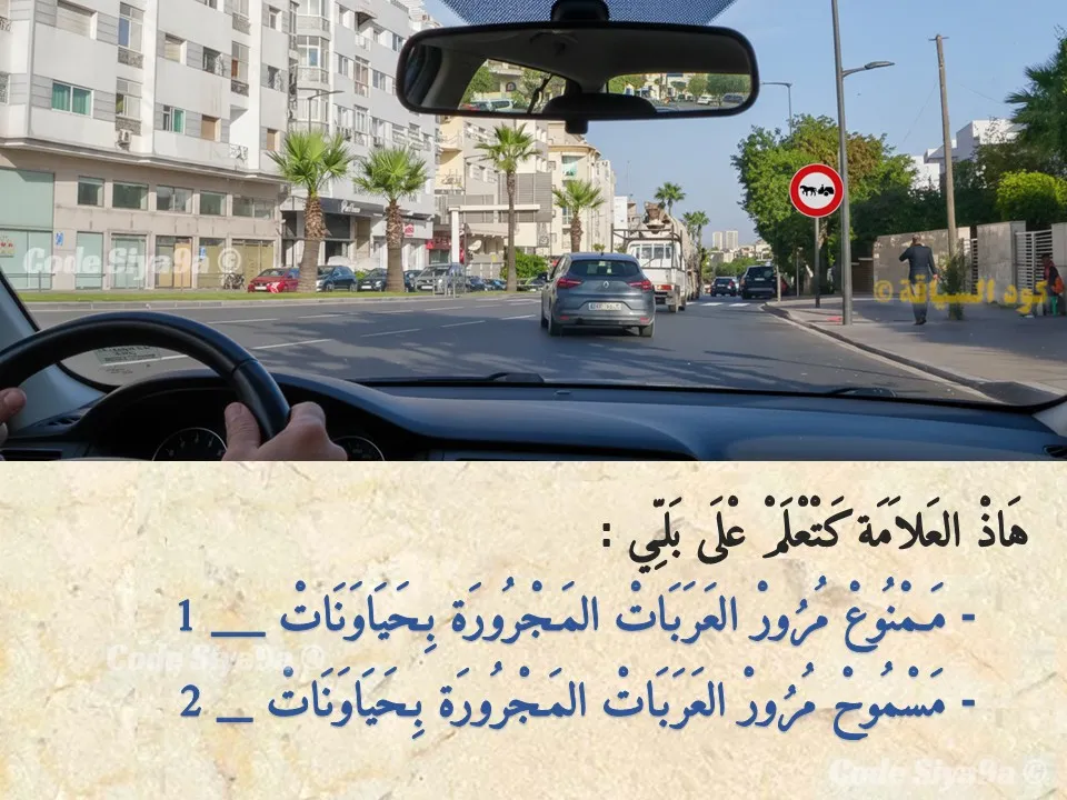 السلسلة 132 — السؤال 23