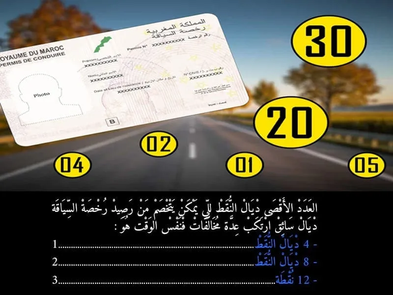 السلسلة 95 — السؤال 13