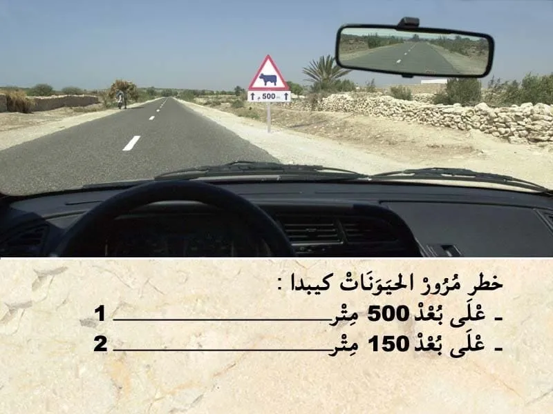السلسلة 95 — السؤال 23