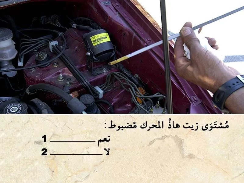 السلسلة 97 — السؤال 8