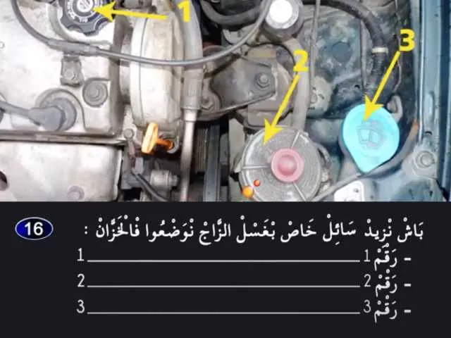 السلسلة 1 — السؤال 16