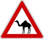 خطر مرور حيوانات أليفة (مرور الجمال)